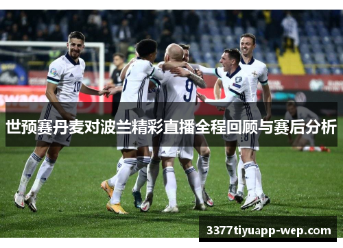 世预赛丹麦对波兰精彩直播全程回顾与赛后分析